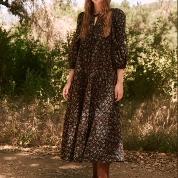 NWT The Great Bonnett Dress in Nightshade Floral - Size 3 - Picture 1 of 14